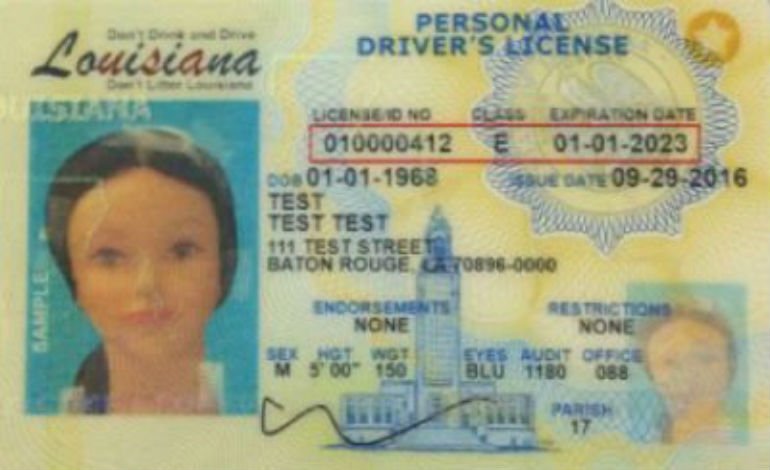 Louisiana Drivers License Requirements - renewcomm